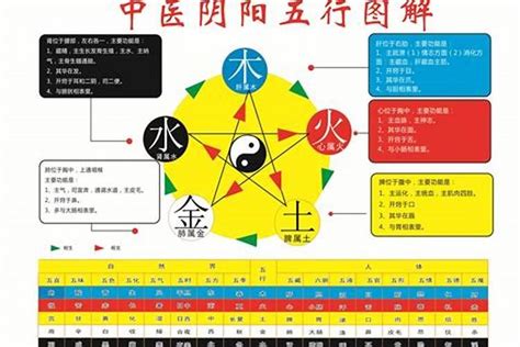 敏五行|敏的五行属性